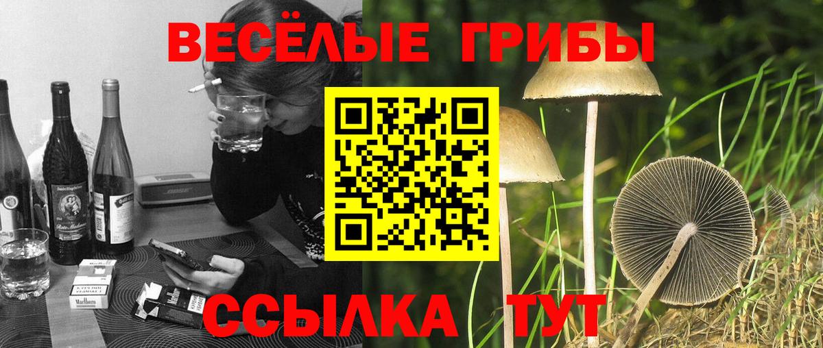 Зеленокумск  Галлюциногенные грибы Magic Shrooms  Вход с VPN 