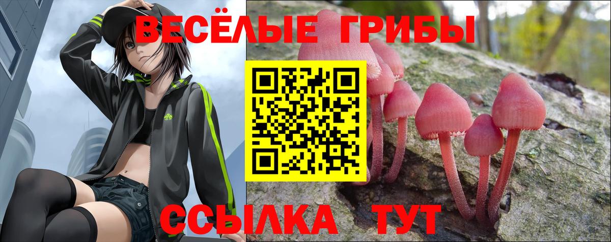 Зеленокумск  Вход с VPN  Экстази  Меф МЯУ МЯУ кристаллы  COCAIN 