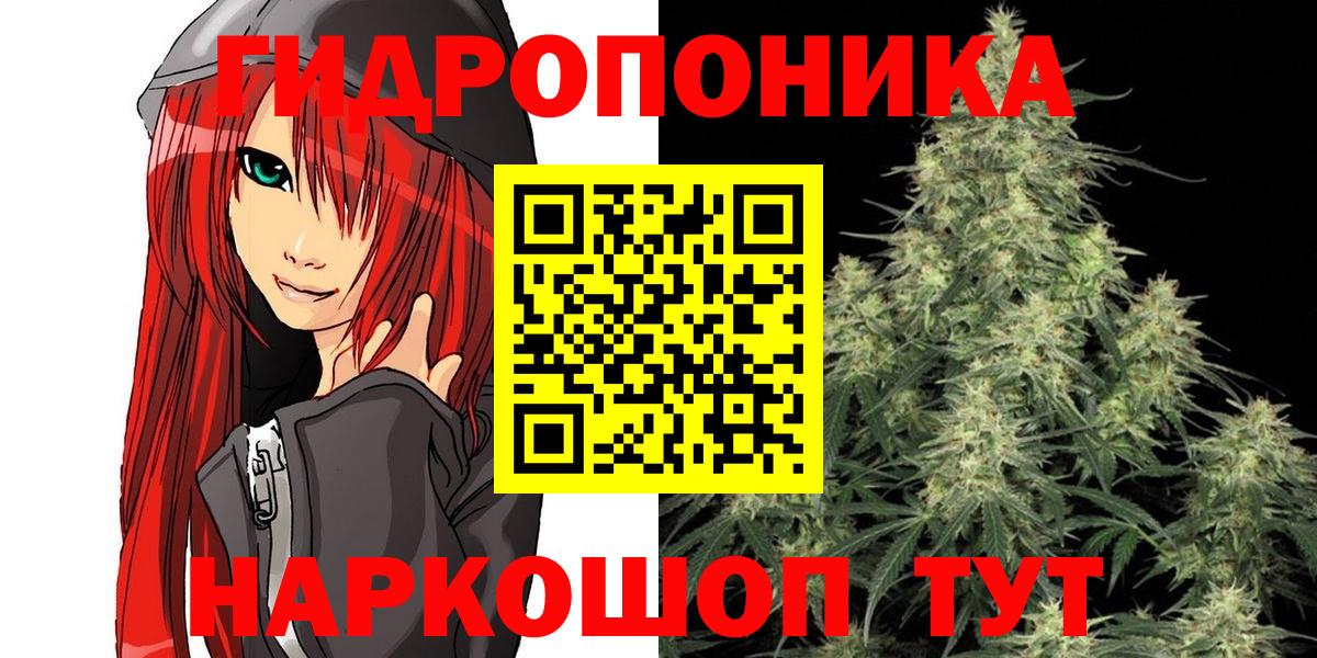 Зеленокумск  Шишки марихуана тримм  Конопля Bruce Banner  Вход с VPN  Марихуана White Widow 